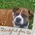 Patricia Mason's profile image
