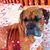 Dottie Mark's profile image