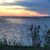 Island Chiropractic - Dr. Ackley's profile image
