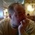 Craig Moody's profile image