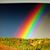 Karen Walter's profile image