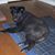 Sharon Fischer's profile image