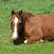 Debbie Miller's profile image