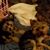 Kim Anderson Carney's profile image
