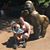 Shauna Grondin's profile image