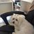 Madeline Labate's profile image