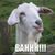 Timothy Wale Taylor's profile image