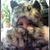Paula Reynolds's profile image