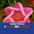 Marsha Smith's profile image
