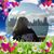 Patricia Behnke's profile image