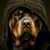 Mark Gardner's profile image