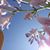 Sherry Richardson's profile image