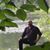Hocine Hamidouche's profile image