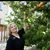 Dianne Manna's profile image