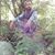 Hamed Nikzad's profile image