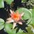 Marni Webster-Clements's profile image
