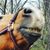 Gay Bjorklund Wilson's profile image