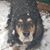 Roxanne Peet Anderson's profile image