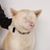 David Marrinson's profile image