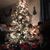 Darla Pruitt Oliver's profile image