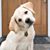 Sharon Jo McBride's profile image