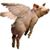 Carolyn Caywood's profile image
