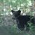Ken Messer's profile image