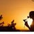 Sarah Othman's profile image