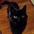 Karen Boardman Young's profile image