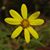 Elaine Knapp's profile image