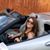Christina Northington's profile image