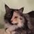 Debbie Clark's profile image