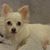Michelle Hovatter's profile image