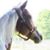 Beth Langlois Bruno's profile image