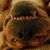 Melanie Baugher's profile image