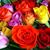 Laurie Harris's profile image