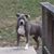 Lucynda Persinger's profile image