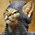 Mary Rose Caslin's profile image