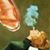 Suzanne Cheavens's profile image