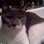 Florence Krol Moore's profile image