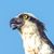 Bill Vinson's profile image