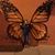 Jen Brockland DeGroot's profile image