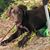 Melissa Garland Starowesky's profile image