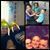 Sarah Schmitt's profile image