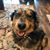 Maggie Guilfoyle Clark's profile image