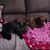 Sherrie Milner Gaither's profile image