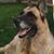Joann Engler's profile image