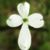 Debbie Couillard's profile image
