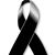 Nayeli Ortiz's profile image