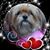 Laura Krutko's profile image